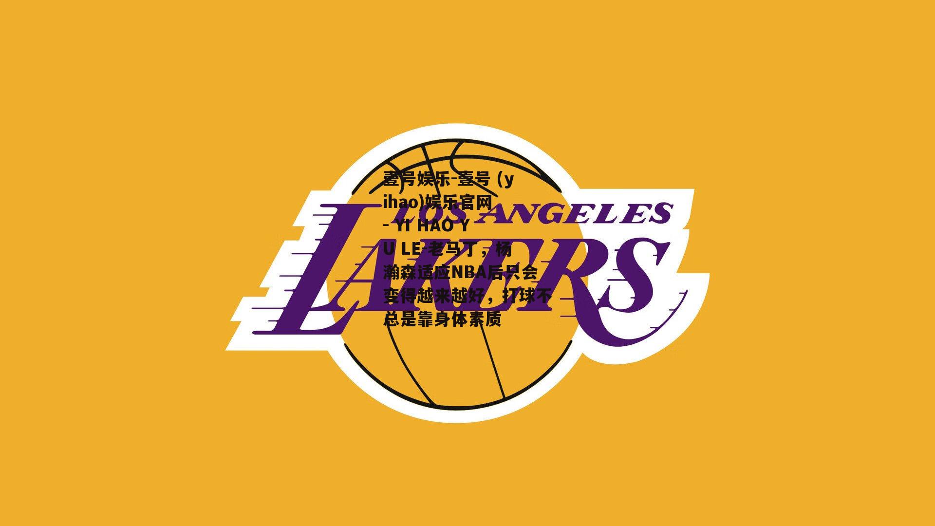 老马丁，杨瀚森适应NBA后只会变得越来越好，打球不总是靠身体素质